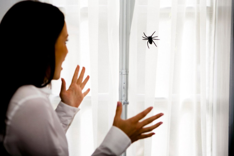 Nećete verovati koliko je jednostavno: Pet delotvornih načina da se rešite paukova zauvek
