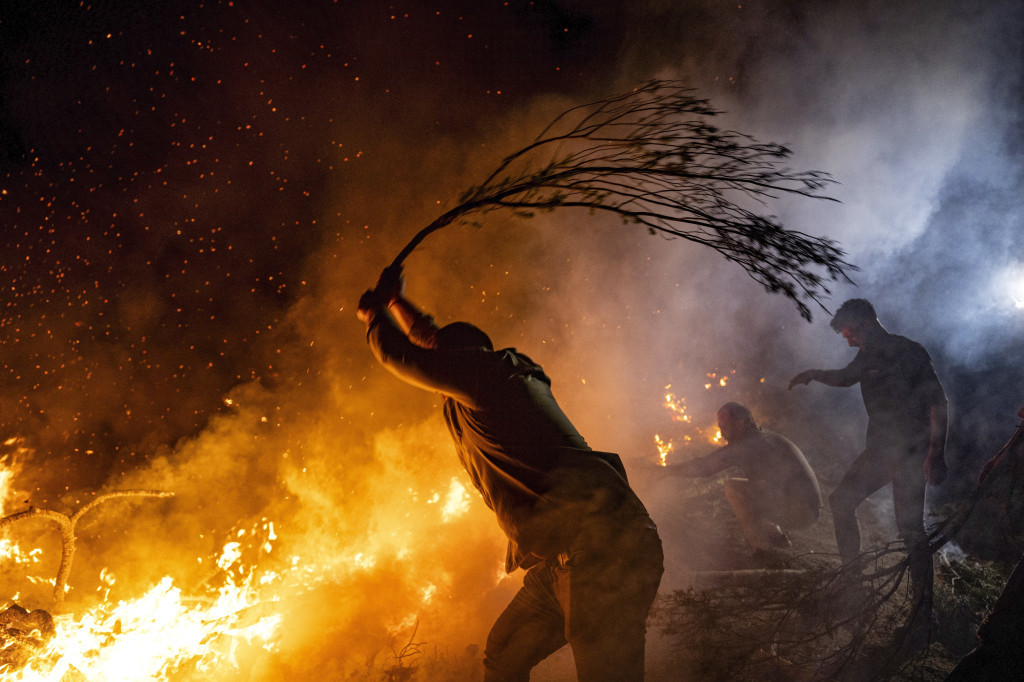 U požarima u Grčkoj stadale hiljade životinja! Stočari očajni