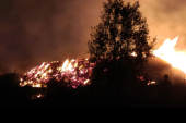 Veliki požar u Futogu! Gori fabrika za proizvodnju drvenih paleta (FOTO/VIDEO)