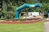Zoološki vrt na Paliću otvara vrata! Deci je ulaz besplatan od danas do nedelje, a posetioci će moći da gledaju kako se hrane životinje!