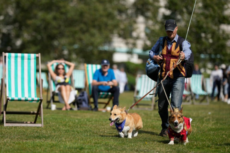 Parada korgija u Londonu na godišnjicu smrti Elizabete II: Kad psi stave krunu (FOTO)