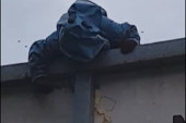 Vladica je spasao pacijente u bolnici u Surdulici od opasnih insekata! Ugnezdili se na plafonu (VIDEO)