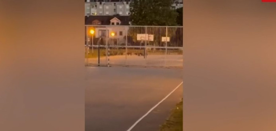 Šta se ovo dešava? Zagreb u rasulu, divlje svinje šetaju gradom, ušle i u školsko dvorište (FOTO)