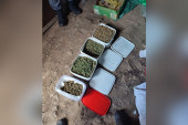 "Pao" diler u Nišu: Policija prilikom pretresa kuće pronašla skoro kilo marihuane i 23 stabljike kanabisa!