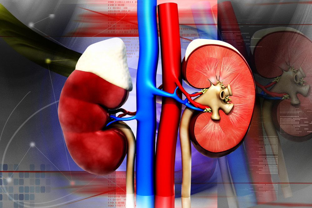 Čak 10 odsto ljudi u Srbiji ima neki stadijum hronične bolesti bubrega: Visok pritisak i dijabetes glavni su okidači za ovu bolest!