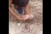 Veliko čudo u Maroku! Tek rođena beba pronađena u ruševinama posle razornog zemljotresa(VIDEO)