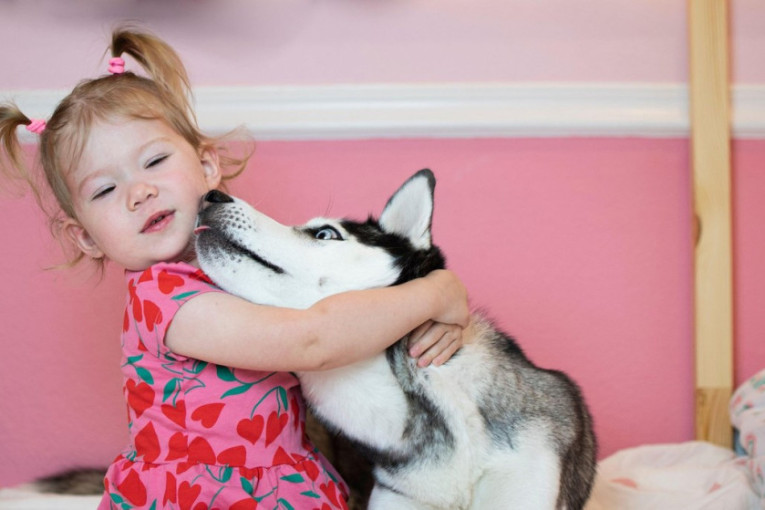 Dreserka pasa savetuje: Zaboravite na ovih šest rasa pasa kao kućne ljubimce