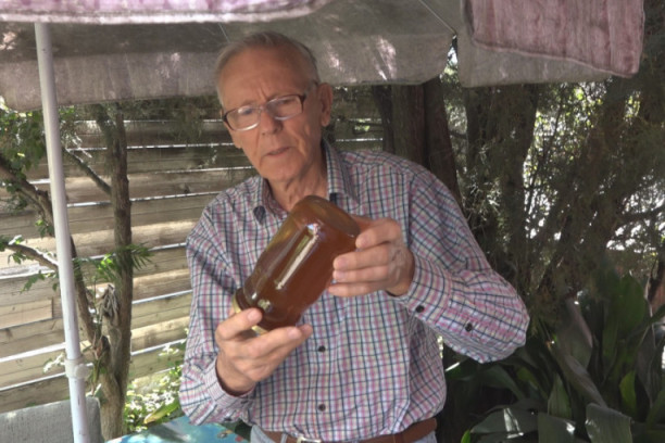 Ovo je najlekovitija namirnica na svetu koju možemo dobiti samo od prirode: Koristi se kao hrana i lek (FOTO)