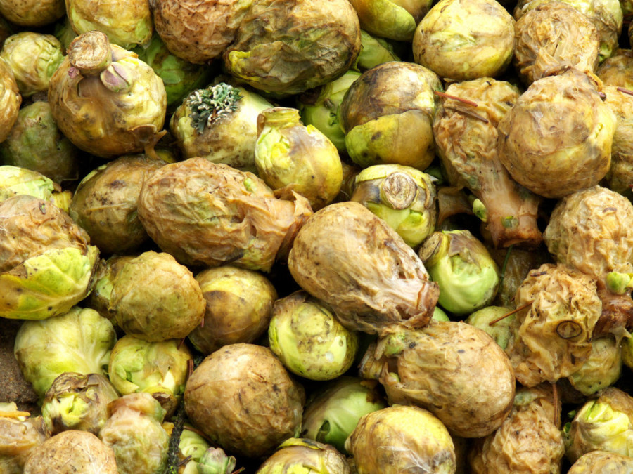 Povrće koje čuva vaše srce: Borac protiv upala i visokog holesterola