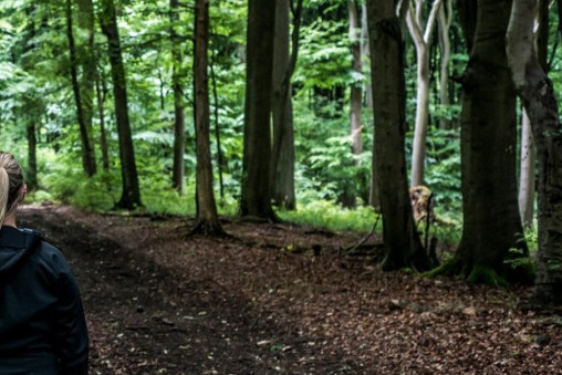 Porez na imovinu i ekologija: Nekome majka, nekome maćeha