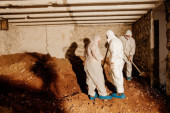 Kako je Katarina Baćović pomogla u kopanju tunela? Lopovi u depo Višeg suda u Podgorici ušli podzemnim prolazom