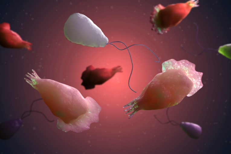 Dečak (1) preminuo od amebe! Zarazio se vodom iz prskalice, opasna zaraza mu pojela mozak