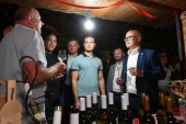 Ministar Vučević na karlovačkom Grožđenbalu: Srbija ne zaostaje u kvalitetu vina!