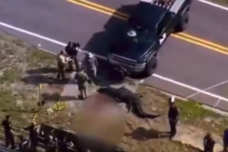 Aligator u čeljustima vukao telo žene: Ljudi u čudu gledali scenu sve dok policija nije zapucala (VIDEO)