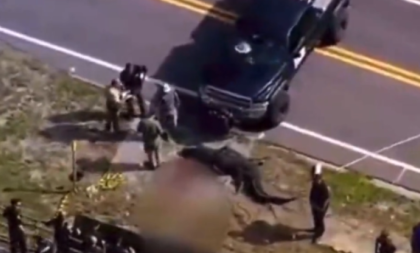 Aligator u čeljustima vukao telo muškarca: Ljudi u čudu gledali scenu sve dok policija nije zapucala (VIDEO)
