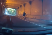 Policajci jurili kradljivca kola, pa ih napao roj osa! (VIDEO)