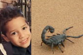 Dečaka usmrtila škorpija u školskom dvorištu