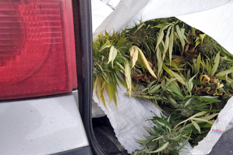 Nova velika zaplena policije: Na tri lokacije nađeni džakovi puni droge (FOTO)