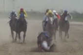 Konj zbacio džokeja, pa pao preko njega! Sreća da su ostali uspeli da ga izbegnu! (VIDEO)