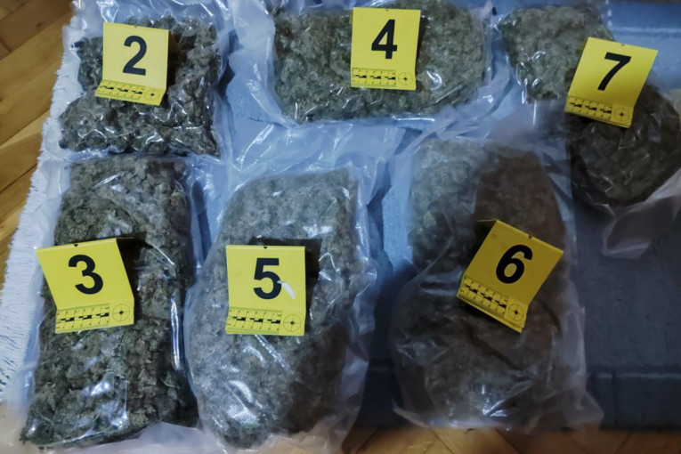 Iznajmili stan za bazu: Novosađani trgovali marihuanom, pronađen keš