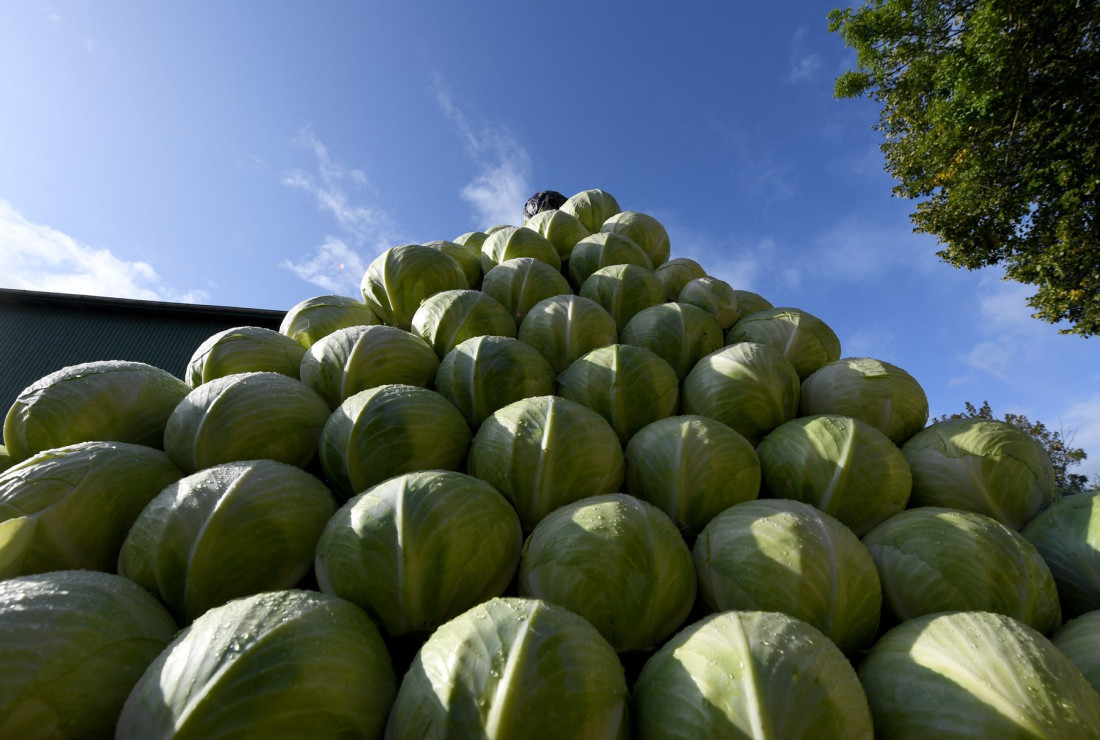 Troje povređeno u lančanom sudaru u tunelu Laz: Jedno vozilo stalo u traci, a druga dva naletala na njega (FOTO)