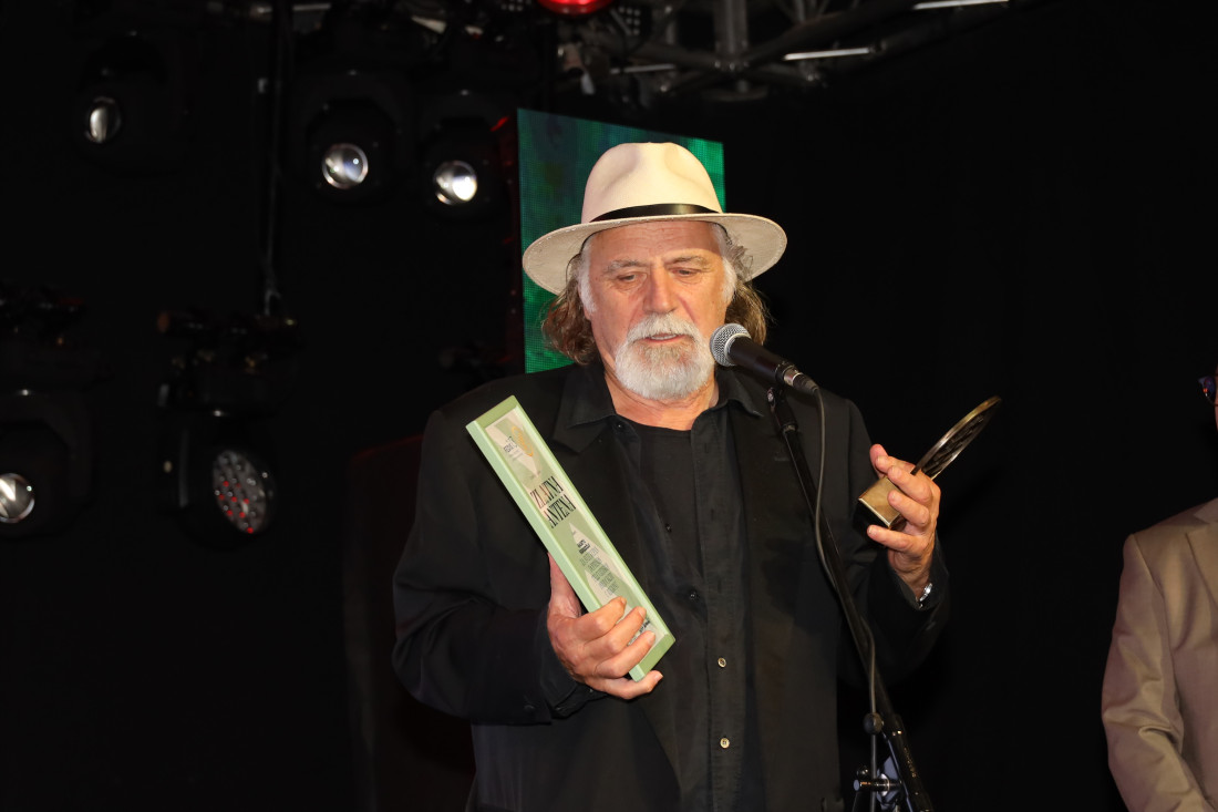 Jovani Stojiljković nagrada "Milena Dravić": Dodeljene "Zlatne antene" za najbolje serije (FOTO)