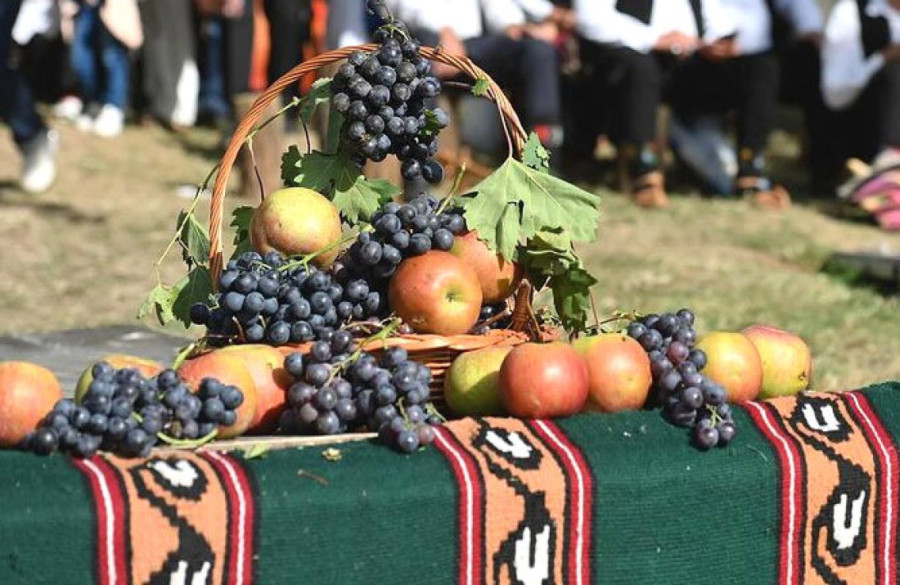Sve spremno za još jednu Oplenačku berbu: Manifestacija duža od šest decenija slavi grožđe i vinogradare u srpskoj Toskani