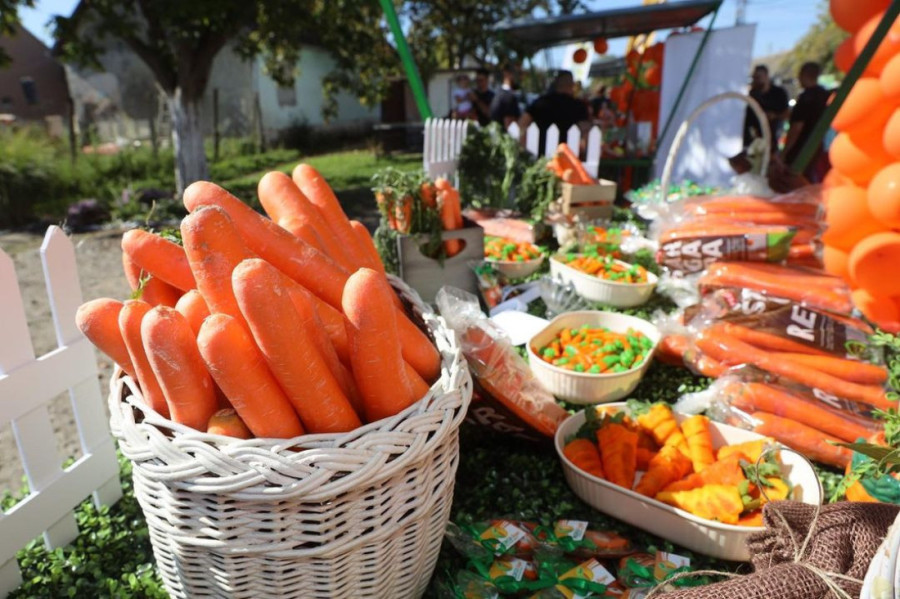Održana druga Šargarepijada u Begeču: Gradonačеlnik Đurić - drago mi jе da praznik šargarеpе postajе tradicija (FOTO)