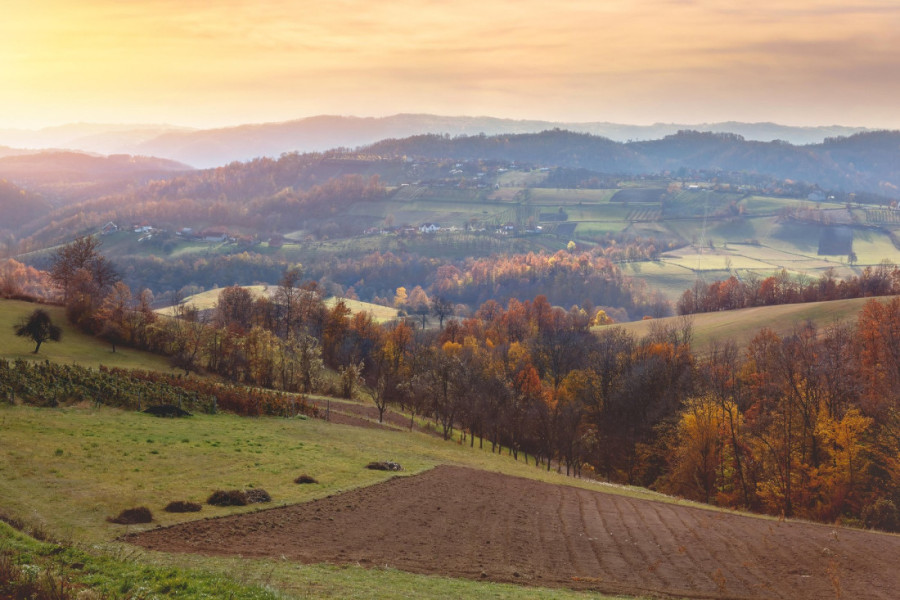 Haos na Iriškom vencu: Otkačila se cisterna, saobraćaj potpuno blokiran (FOTO)