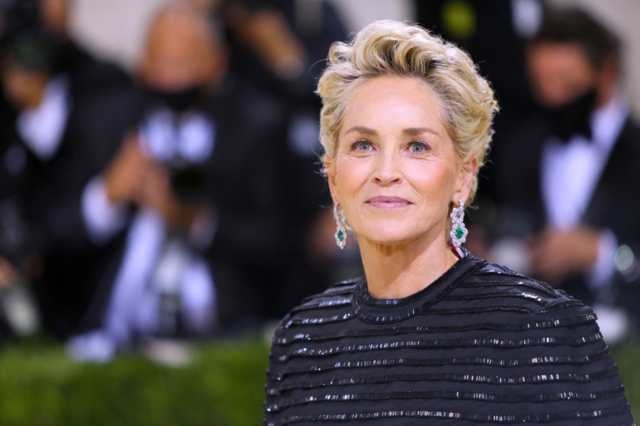 Šeron Stoun otkrila najšokantnije iskustvo u karijeri: Tražio je da imam seks sa Vilijamom Boldvinom (FOTO/VIDEO)