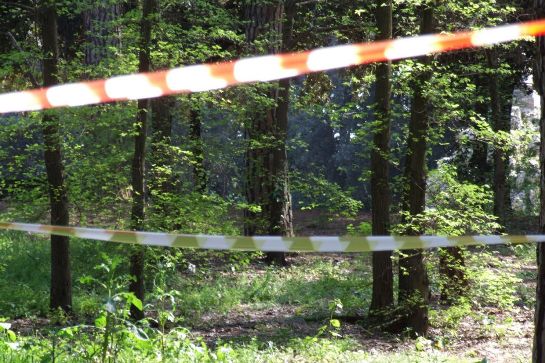 Sedam osoba privedeno u šumi na planini Rtanj: Ojadili kinesku kompaniju