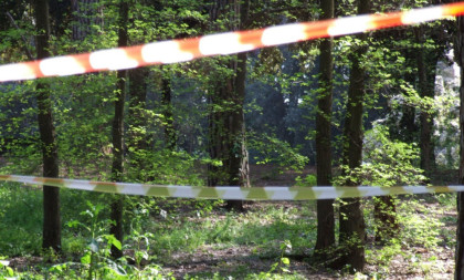 Rešena misterija nestanka dve devojčice u Kragujevcu: Majka otkrila šta se desilo u šumi