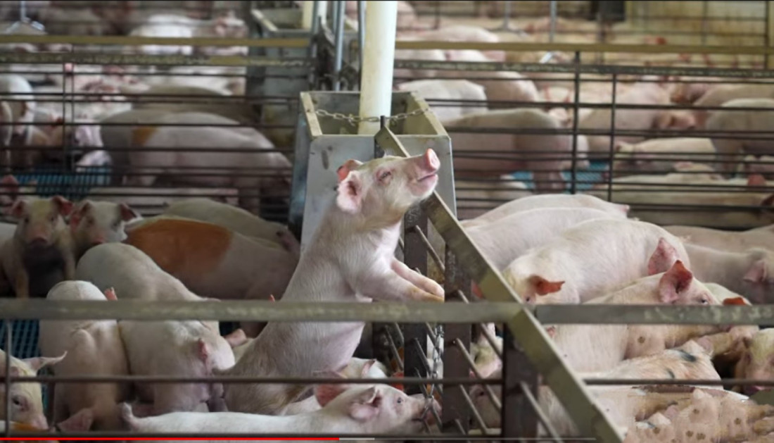 Sutra sednica Skupštine o predlogu opozicije za glasanje o nepoverenju vladi