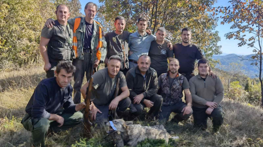 Oči u oči sa predatorom: Iskusni lovac Miroslav uspeo da ustreli vučicu koja mu je prišla na 10 metara! (FOTO)