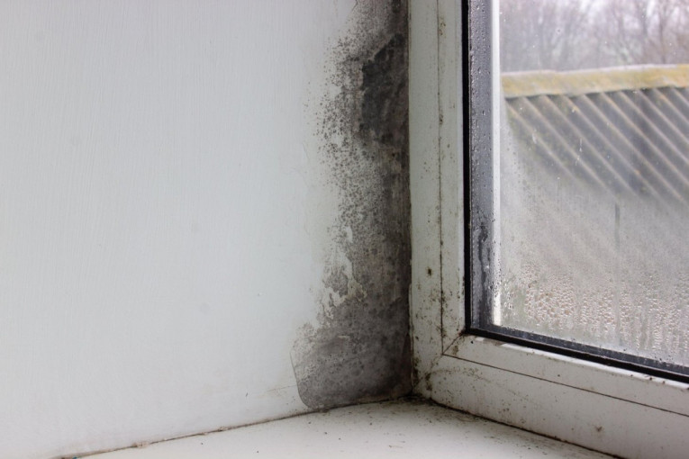 Zaustavite buđ i vlagu na vreme: Stavite činiju ovog začina na prozor i zaštićeni ste tokom cele zime