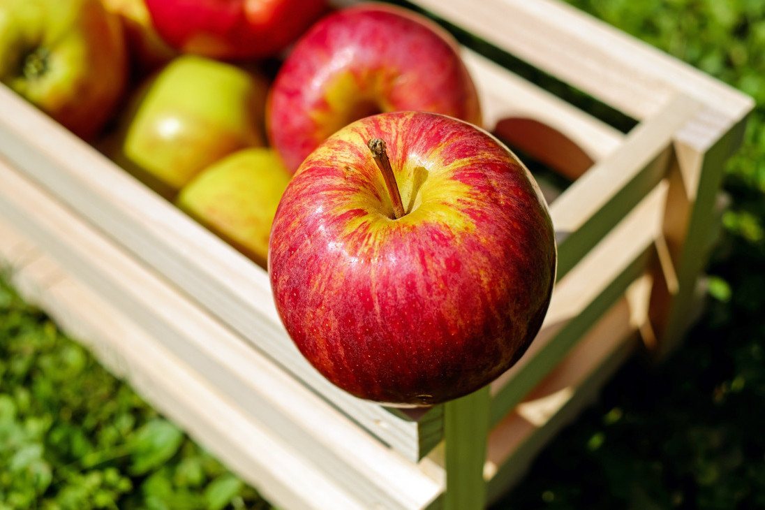 Srbija na vrhu liste izvoznika jabuka u Rusiju