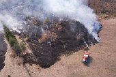 Šumski požar kod Gornjeg Milanovca: Vatrogasci uz pomoć meštana jedva obuzdali vatrenu stihiju!