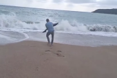 Mladunče prugastog delfina zbog nevremena završilo na plaži Jaz! Mane je hitno reagovao i spasao ga (VIDEO)