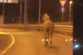 Neviđena scena na Mostu na Adi: Beli konj kaska ka Novom Beogradu! (VIDEO)