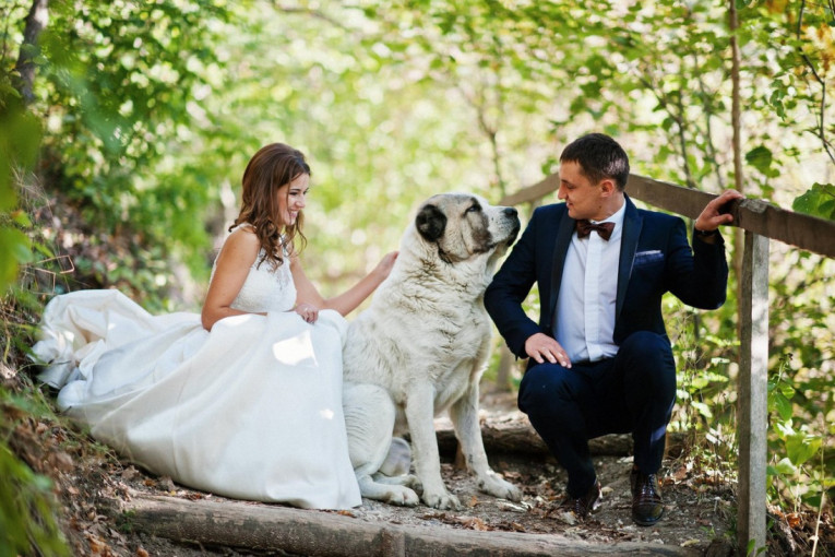 Ljubav prema psima i venčanjima: Kako zaraditi 3.000 evra mesečno (VIDEO)