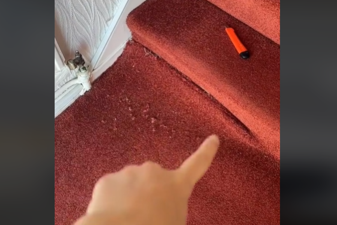 Pravi džekpot! Anja je htela da renovira kuću, a kada je podigla stari tepih pronašla je nešto što vredi 13.000 evra (VIDEO)