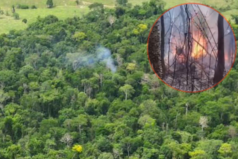 Nezapamćena tragedija, 12 mrtvih,  pronađeno i telo bebe: Biznismeni izgoreli nakon pada aviona u džunglu (VIDEO)