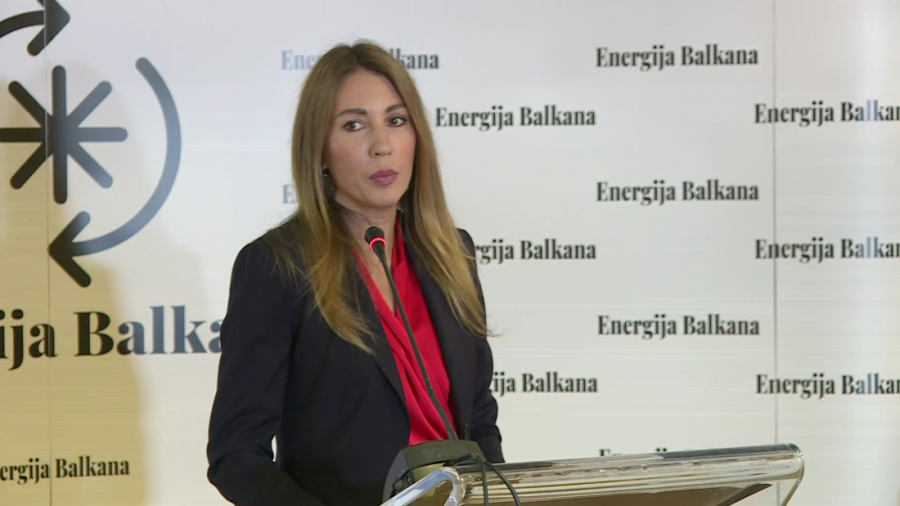 Đedović Handanović sa predstavnicima Evropske komisije o planu rasta i energetici