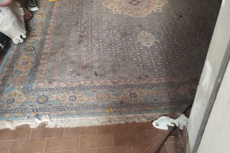 Potvrđeno! Tinejdžerka iz Novog Sada ubila teču (FOTO)