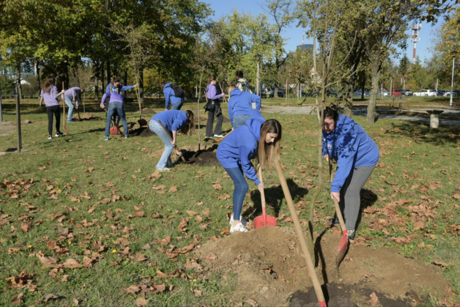 Povodom obeležavanja Svetskog dana klimatskih promena zaposleni u kompaniji Mondelēz International posadili nove sadnice