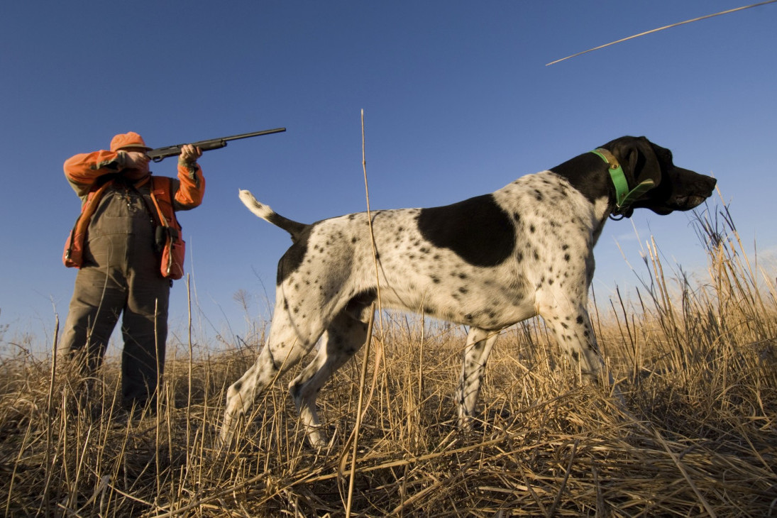 Oglasila se Eparhija o plivanju za Časni krst na Gazivodama
