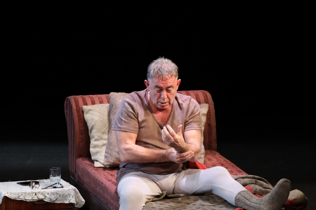 "Svaka porodica ima jednog hipohondra": Održana premijera predstave "To kad uvati ne pušta" (GALERIJA)