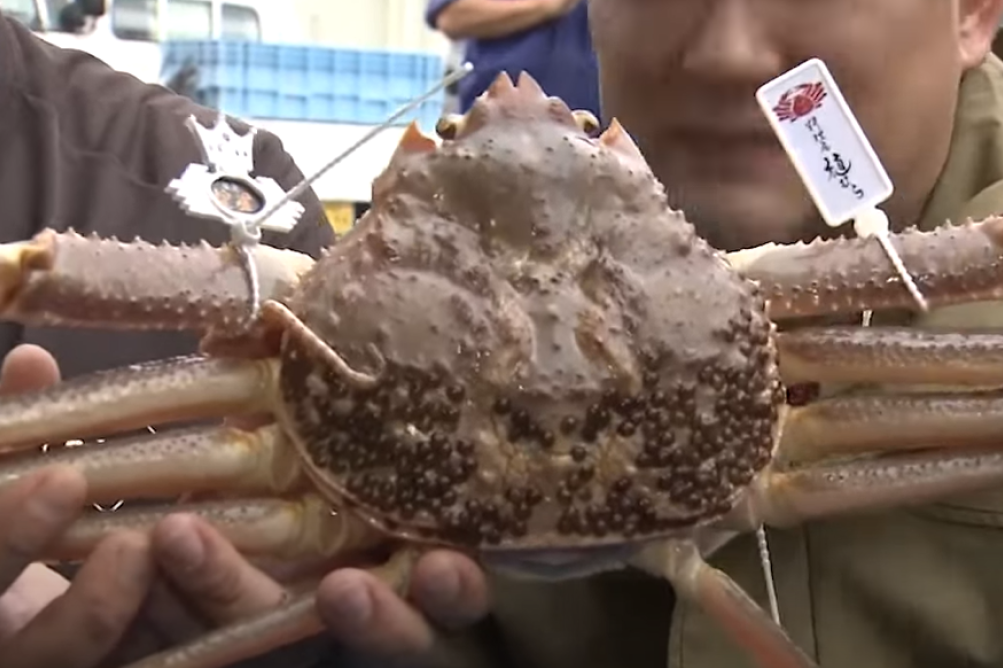 Kupio krabu za 60.000 evra, pa otkrio šta planira sa njom da uradi (VIDEO)