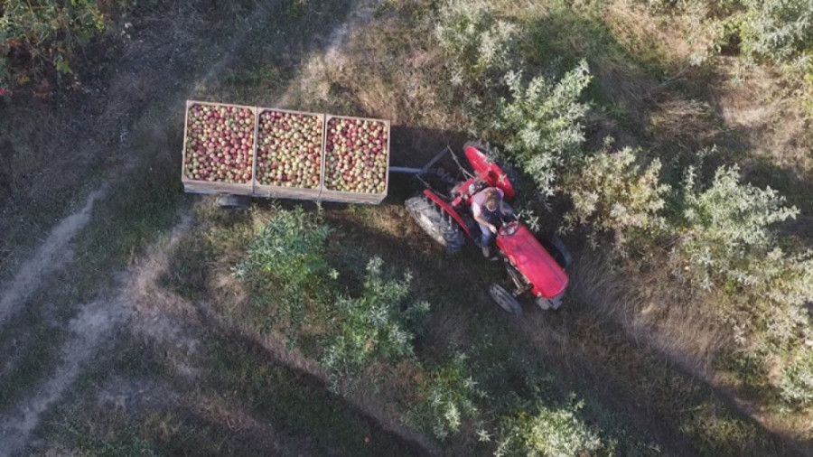 Možete da dobijete i do 200.000 evra, a prijave su do petka: Još jedna prilika za poljoprivrednike, evo kako do bespovratnih sredstava!