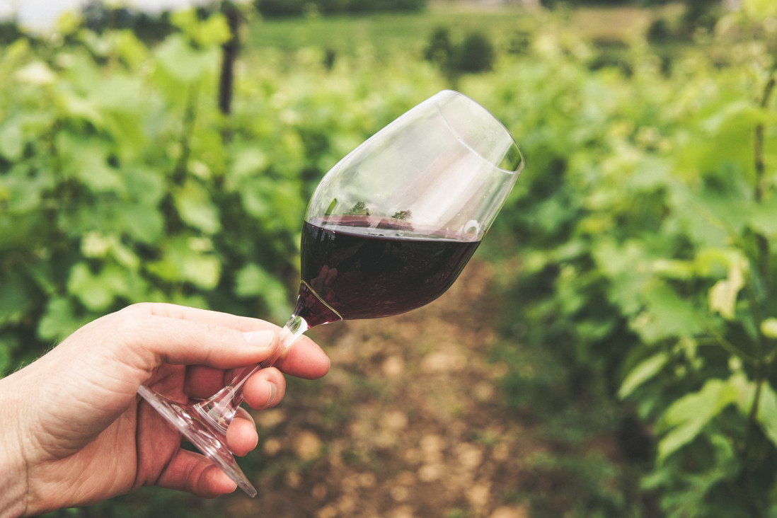 Veštačka inteligencija uvodi revoluciju u svet vinarstva: AI u borbi protiv prevara